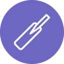 International Cricket Logo