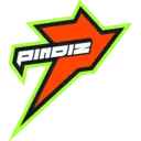 Rawalpindi Pindiz logo